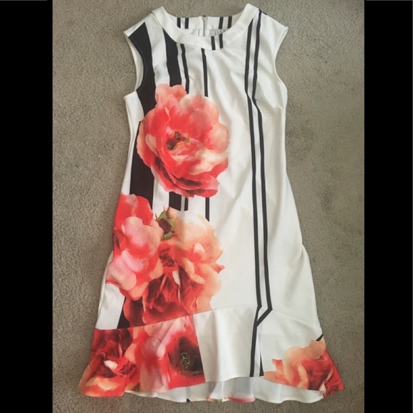 Anthropologie Dresses & Skirts - NEW ANTHROPOLOGIE $188 Dress 10 M Floral Skirt Top